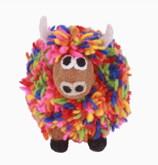 Archie the Highland Cow in Colour