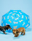 Original Duckhead Umbrella - Dogs In Blue