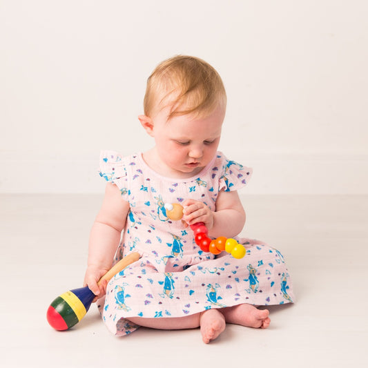 Peter Rabbit Love Summer Dress