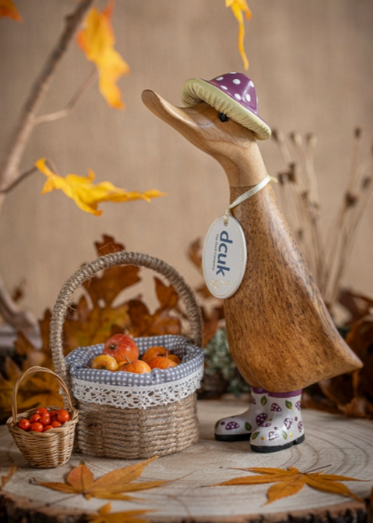 Dcuk Autumn Duckling