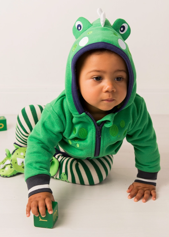 Maple The Dino Hoodie