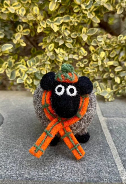 Douglas The Highland Sheep