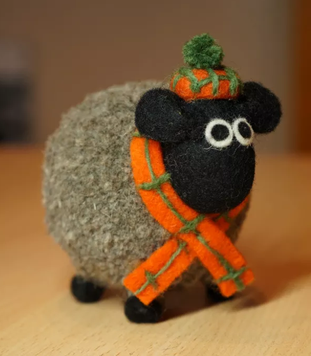 Douglas The Highland Sheep