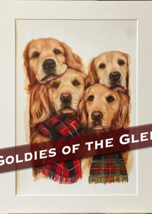 Mounted Print Portrait Goldies Of The Glen