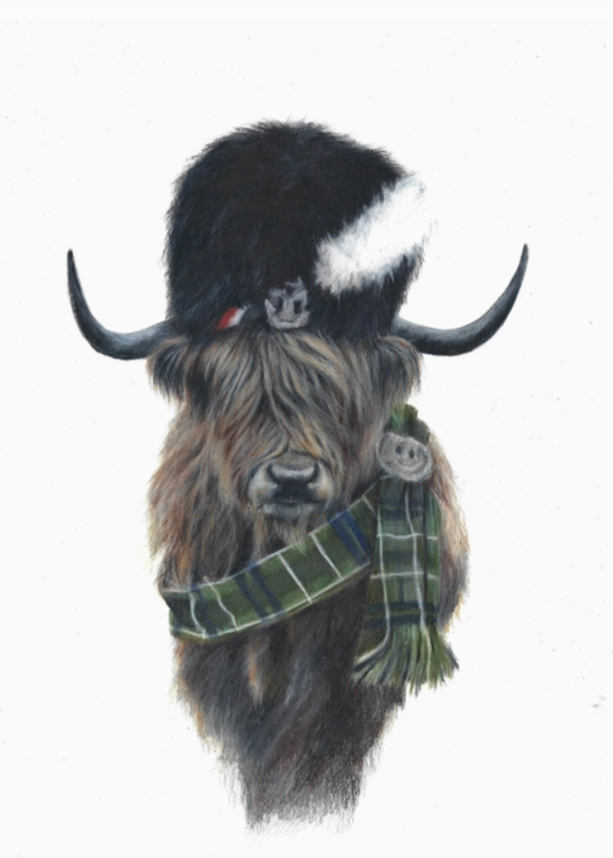 Mounted Print Portrait Gordon the Highland Coo