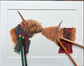 Mounted Print Landscape Highland Love