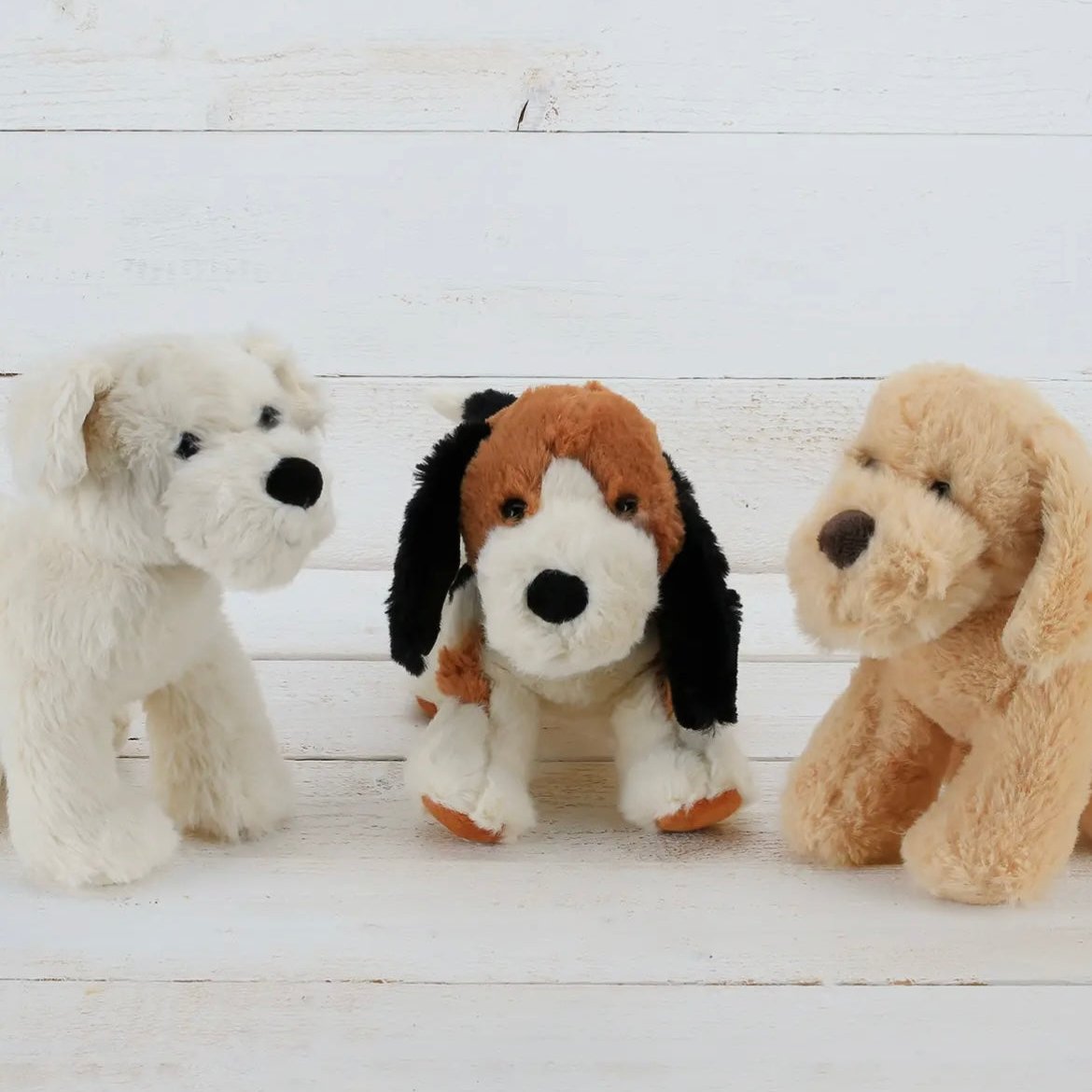 Small Plush - Dog Golden