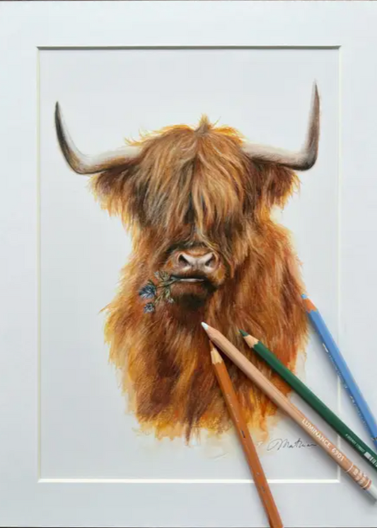 Mounted Print Portrait The Jaggy Thistle Coo