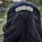 Daisy Barrette