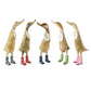 Dcuk Floral Boot Ducklets