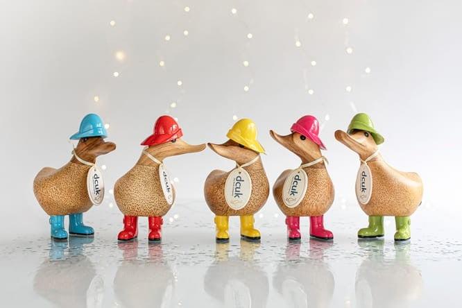 DCUK Rainy Day Duckys