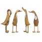 Dcuk Natural Ducklets