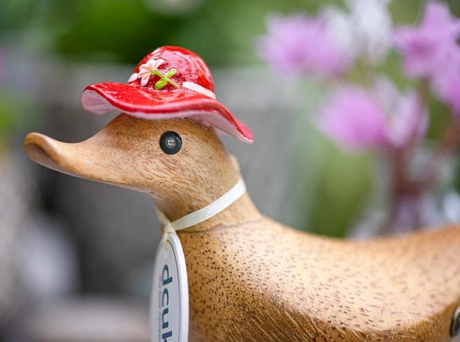 Dcuk Floral Hat & Boots Ducky