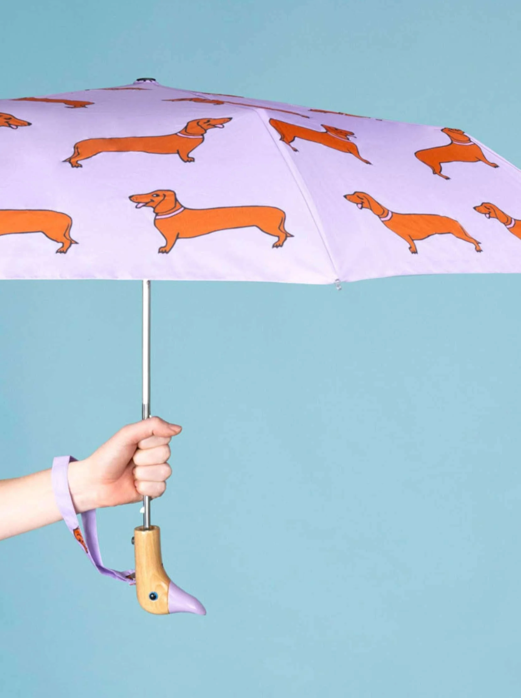 Original Duckhead Umbrella - Dachshund