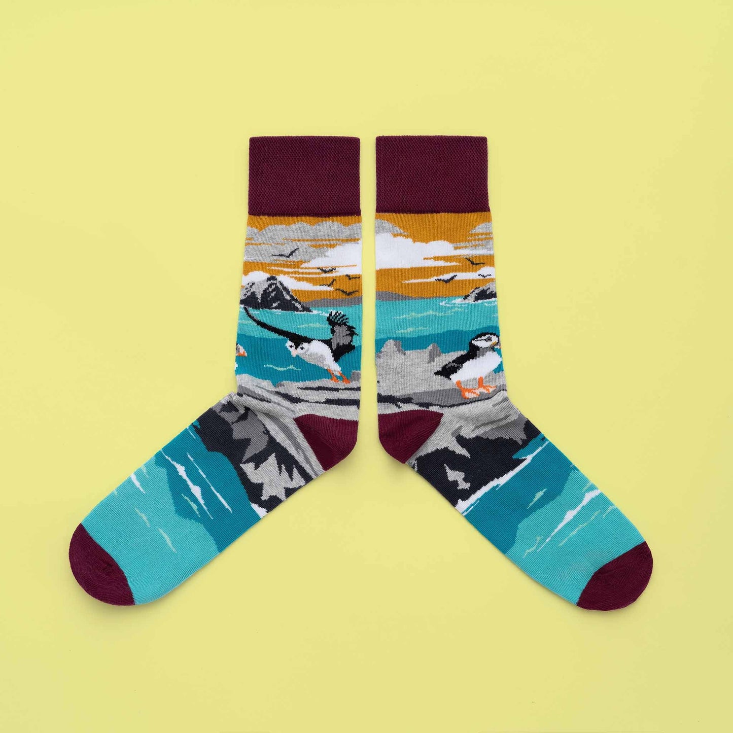 CO OP Socks Skellig