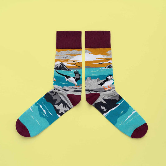 CO OP Socks Skellig