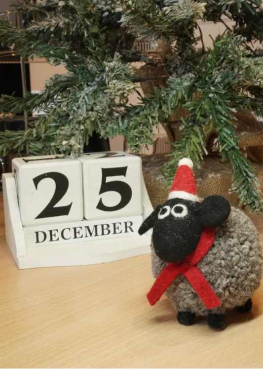 Stuart The Sheep At Christmas