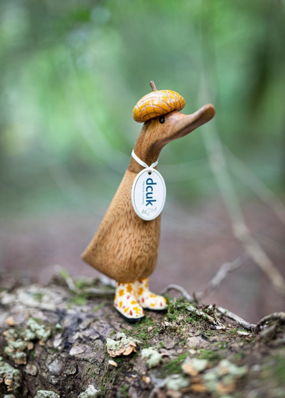 Dcuk Woodland Folk Duckling