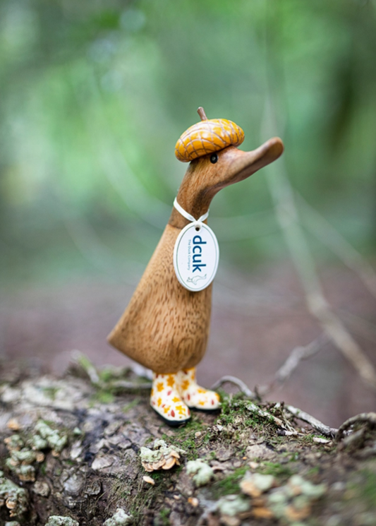 Dcuk Woodland Folk Duckling