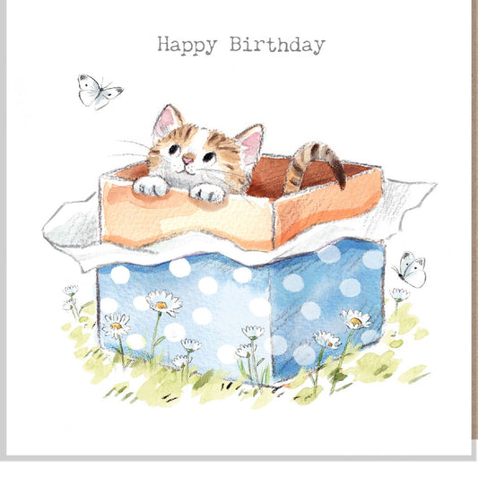 Birthday card  - Cat in box