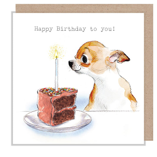 Birthday card  - Chihuahua with birthday cake