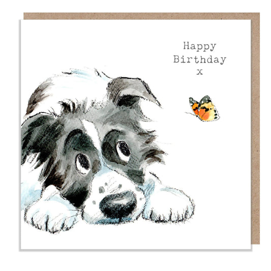 Birthday card  - Black And White Collie