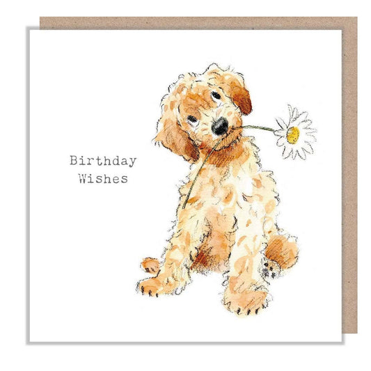 Birthday card  - Cockapoo with Daisy