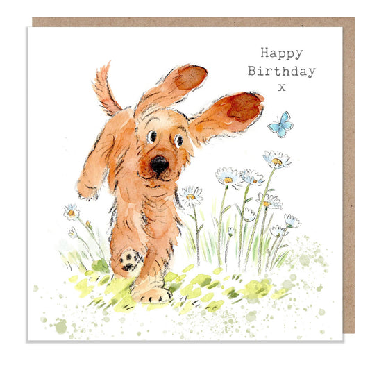 Birthday card  - Jumping Cocker Spaniel With Daisies