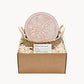 Handmade Bread Warmer & Wicker Basket - Plant Round