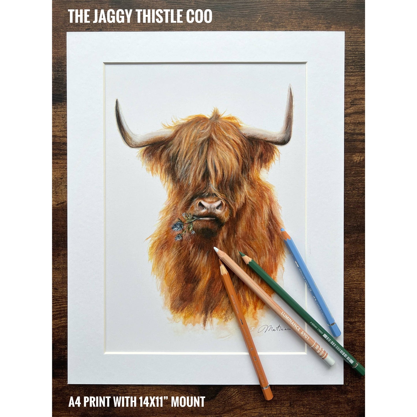 Mounted Print Portrait The Jaggy Thistle Coo
