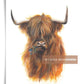 Mounted Print Portrait The Jaggy Thistle Coo